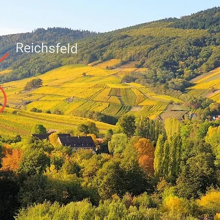 Domaine BOHN Red Winehouse Reichsfeld Exterior foto