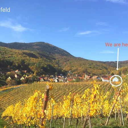 Domaine BOHN Red Winehouse Reichsfeld Exterior foto