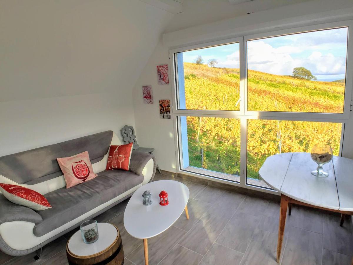 Villa Domaine BOHN new guest house Reichsfeld