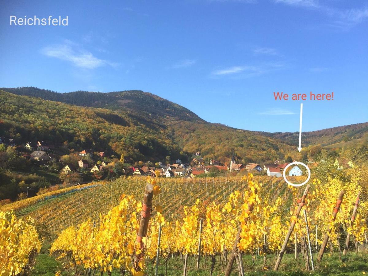 Domaine BOHN new guest house Villa
