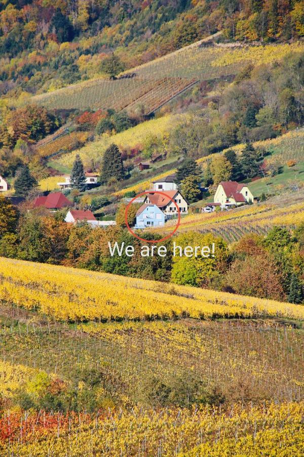 Domaine BOHN new guest house Reichsfeld